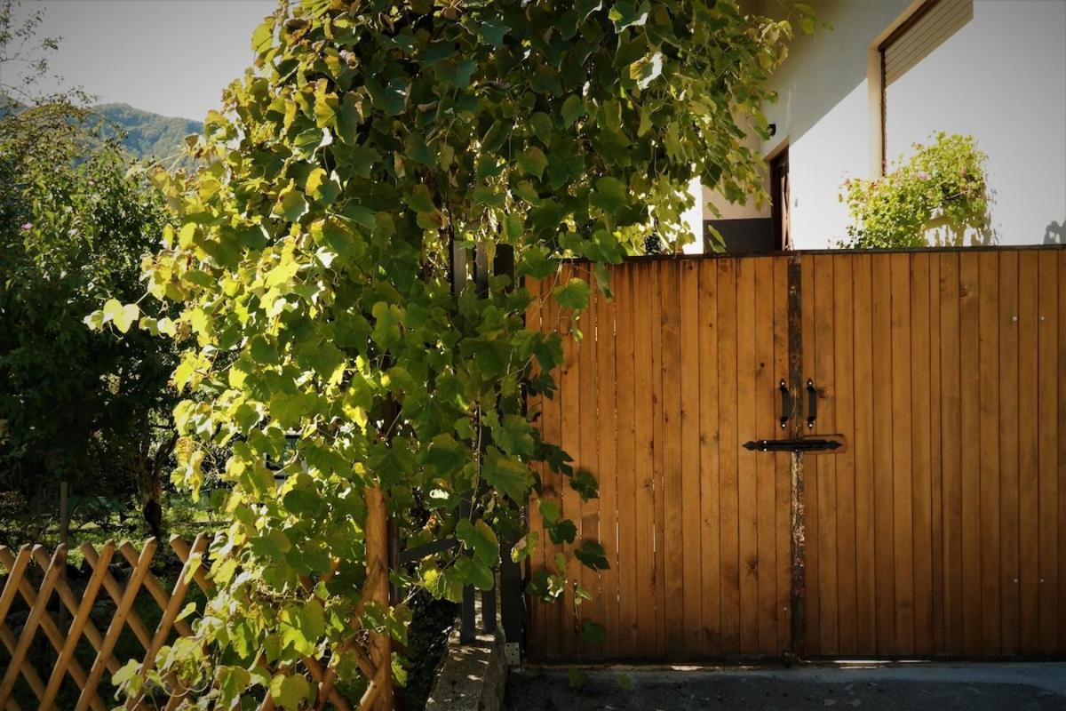 Moksha Slovenia Толмин Экстерьер фото